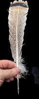 Feather Pen