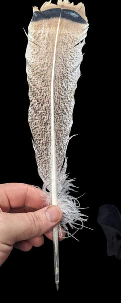 Feather Pen