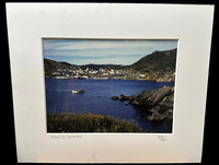 Portugal Cove Photo