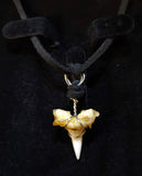 Shark Tooth Necklace